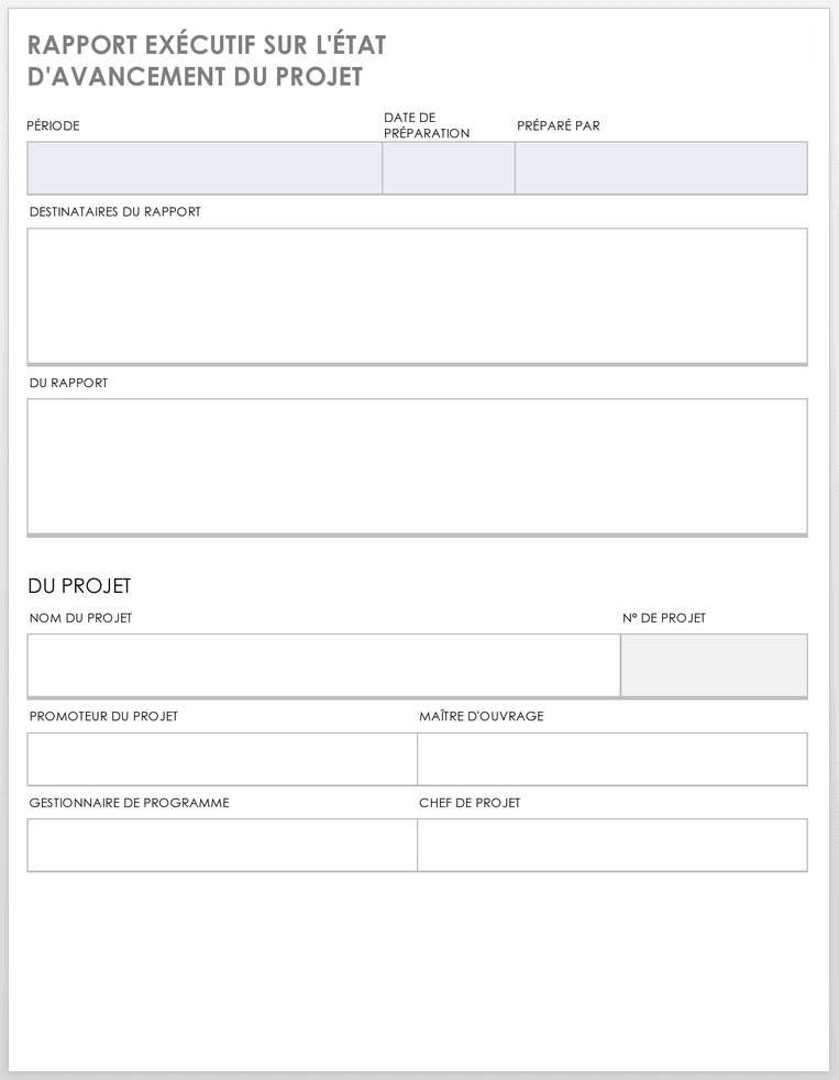 Rapport exécutif sur l'état d'avancement du projet